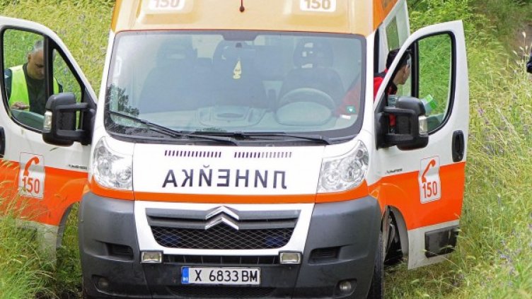 Снимка: Булфото, архив