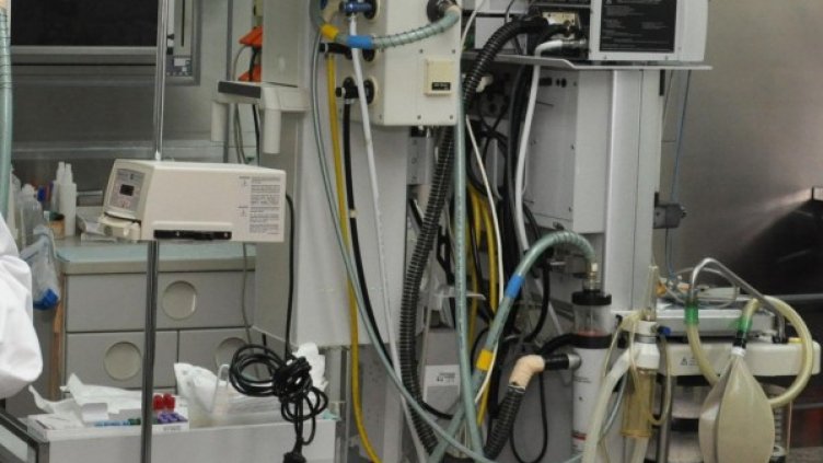 Снимка: архив, БулФото