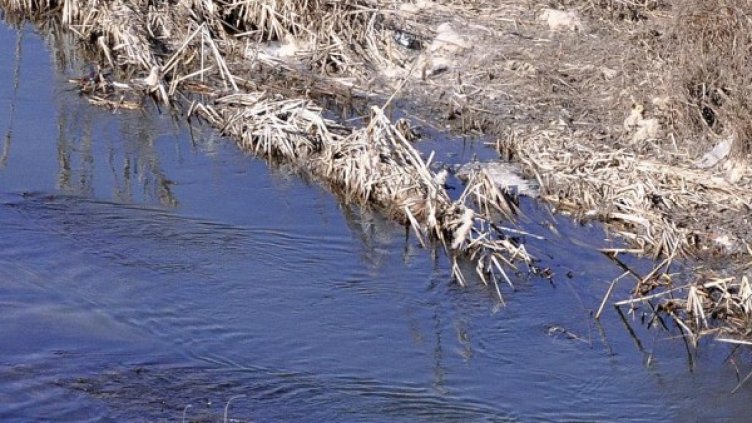 Архив: Булфото