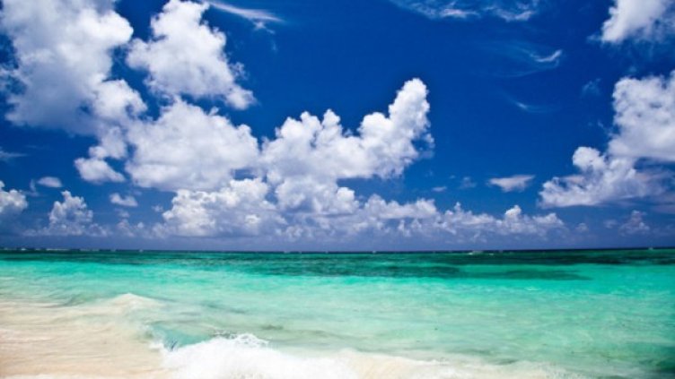 Снимка: Ben Kucinski