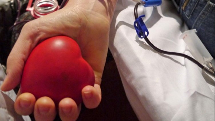 Снимка: архив Булфото