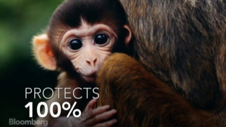 Снимка: bgonair.bg