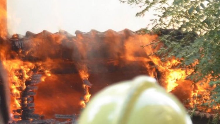 Снимка: Булфото, архив