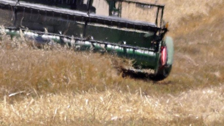 Архив: Булфото