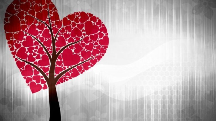 Снимка: freeimages.com