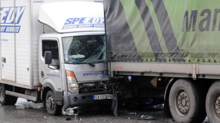 Снимка: Булфото