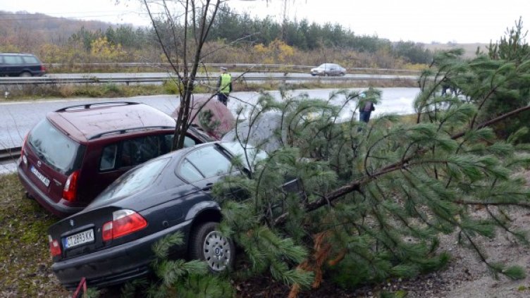 Част от катастрофиралите коли. Снимка: БТА