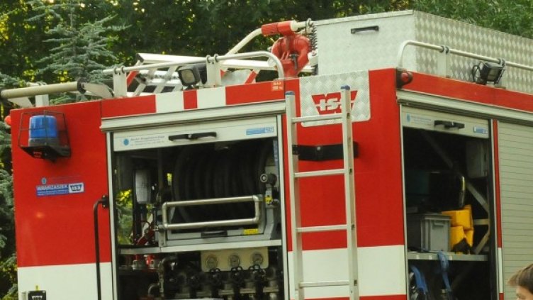 Снимка: Булфото