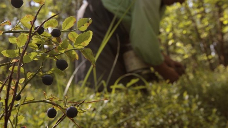 Трафикът на хора е и с цел трудова експлоатация. Снимка: архив, Ройтерс