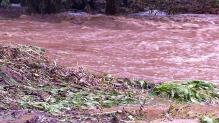 Архив: Булфото