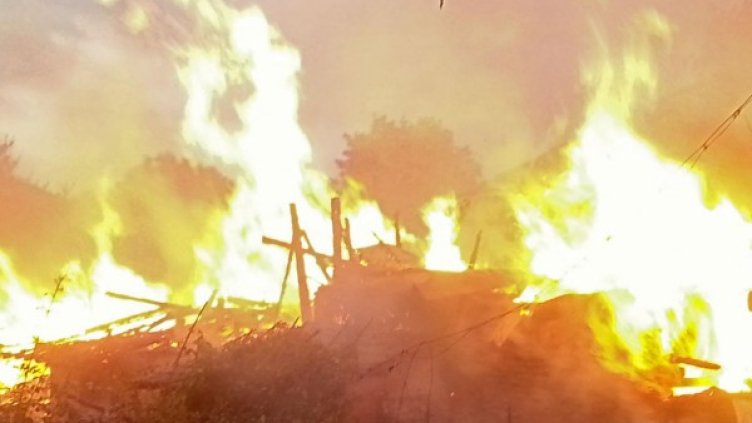 Снимка: Булфото, архив