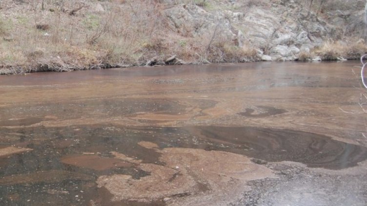 Архив: Булфото