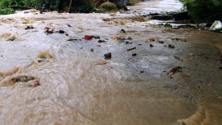 Архив: Булфото