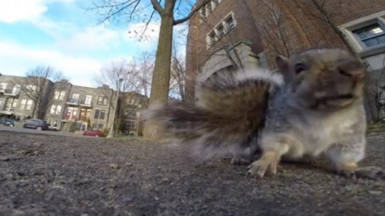 Снимка: YouTube