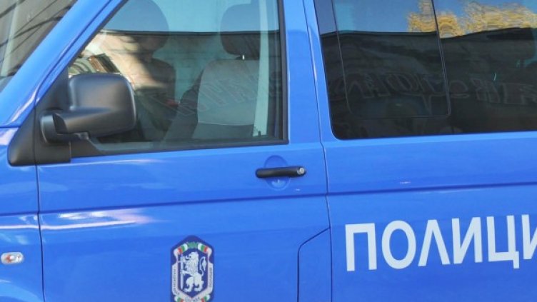 Снимка: архив, БулФото