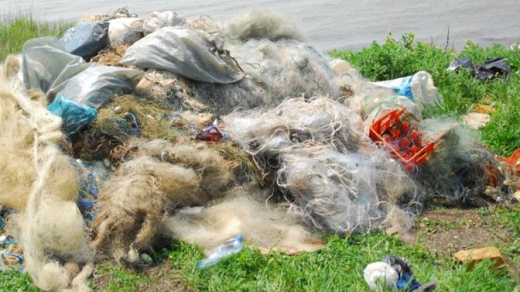 Снимка: Булфото, архив