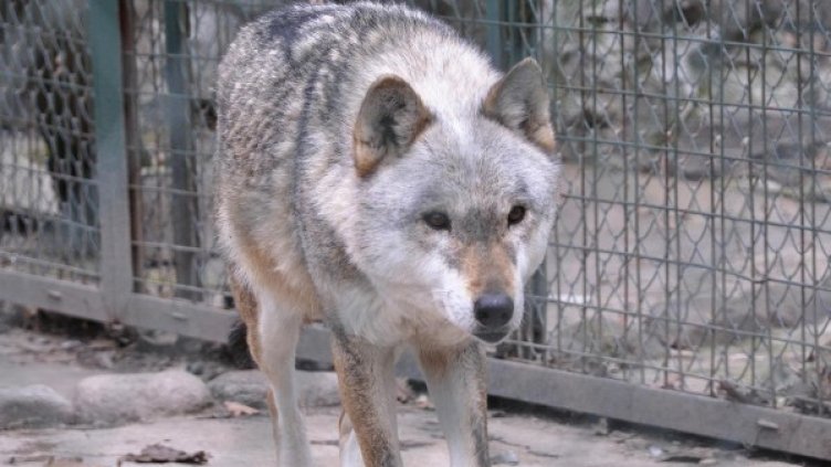 Снимка: Булфото, архив