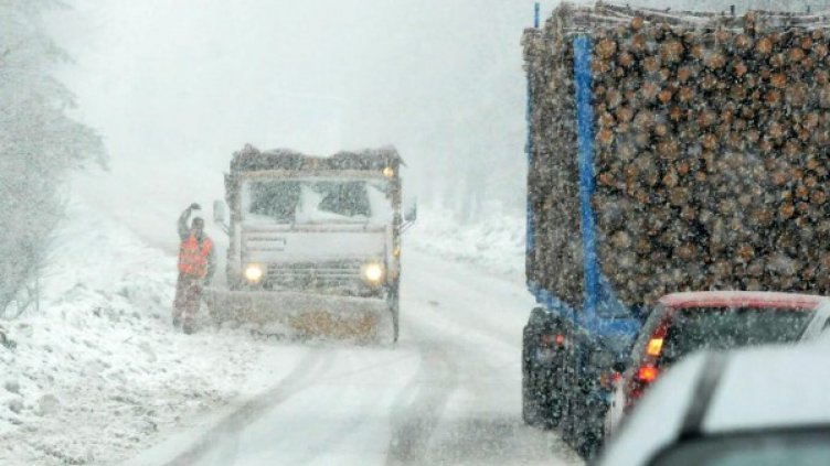 Снимка: Булфото, архив