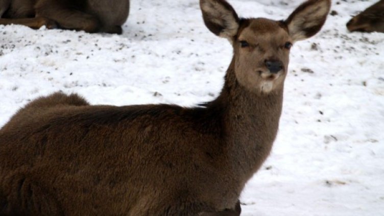 Снимка: архив, БулФото