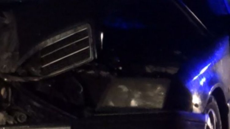 Снимка: Dnes.bg