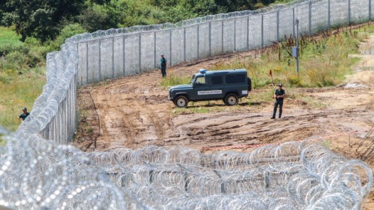 Снимка: Impact Press Group