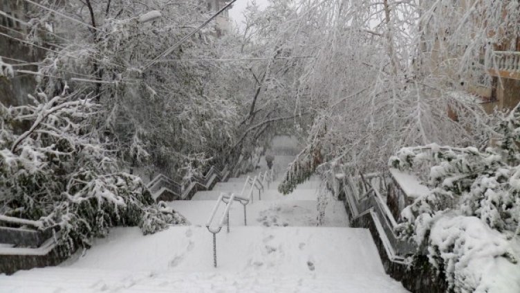 Снимка: архив, Булфото