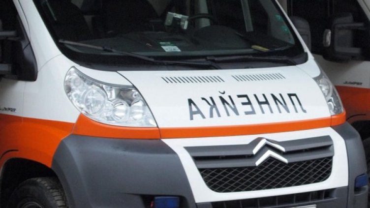 Снимка: архив Булфото