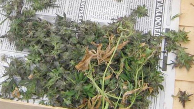 Снимка: МВР