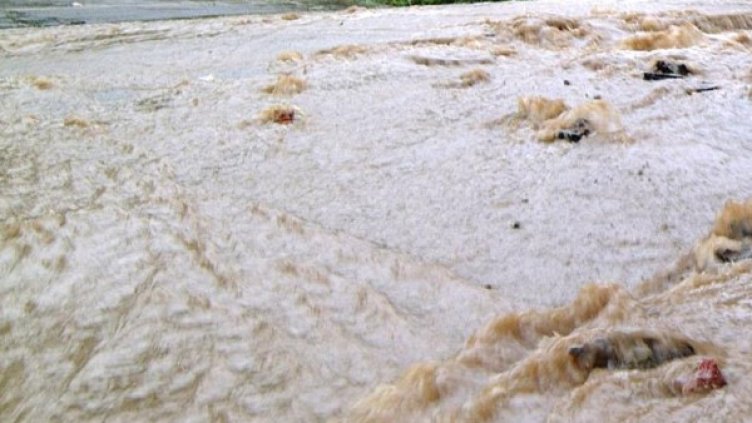 Архив: Булфото