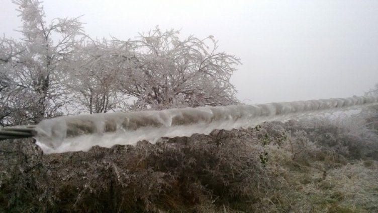 Снимка: ЧЕЗ