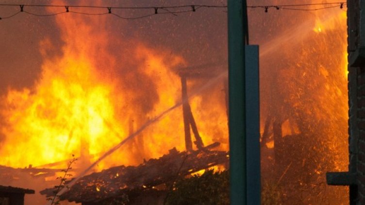 Снимка: архив Булфото