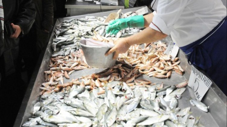 Снимка: Булфото, архив