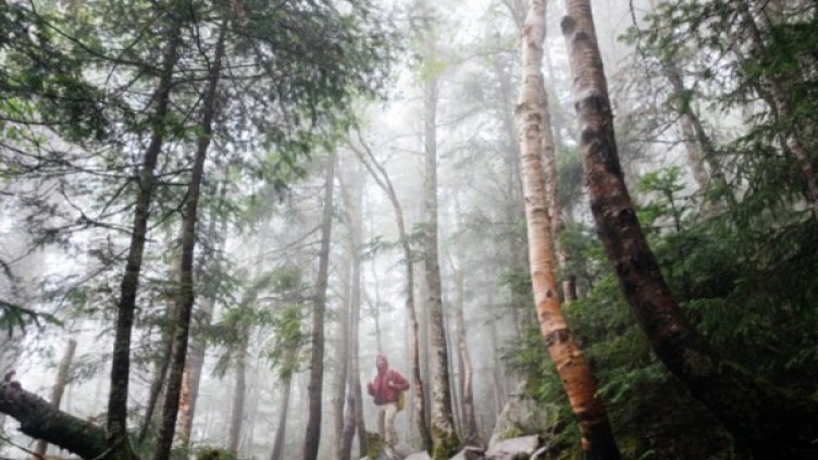 Снимка: bgonair.bg