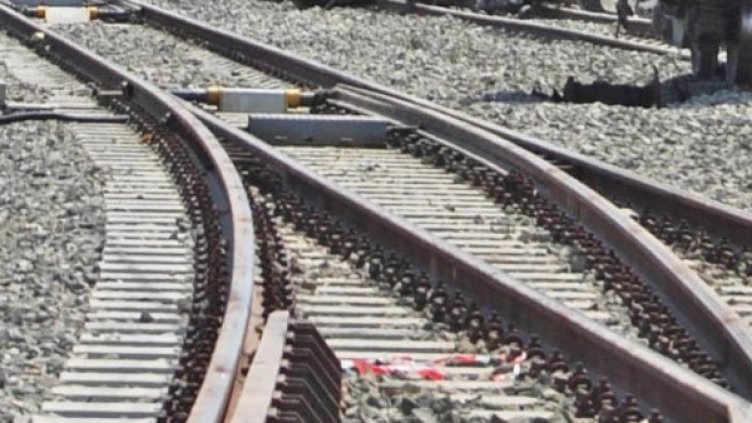 Архив: Булфото