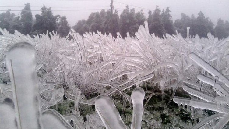 Кадър от село Раковица, Видинска област. снимка: БТА