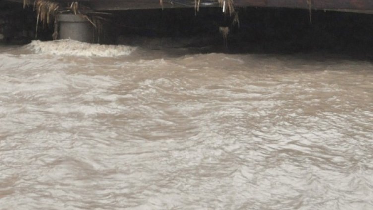 Снимка, БТА