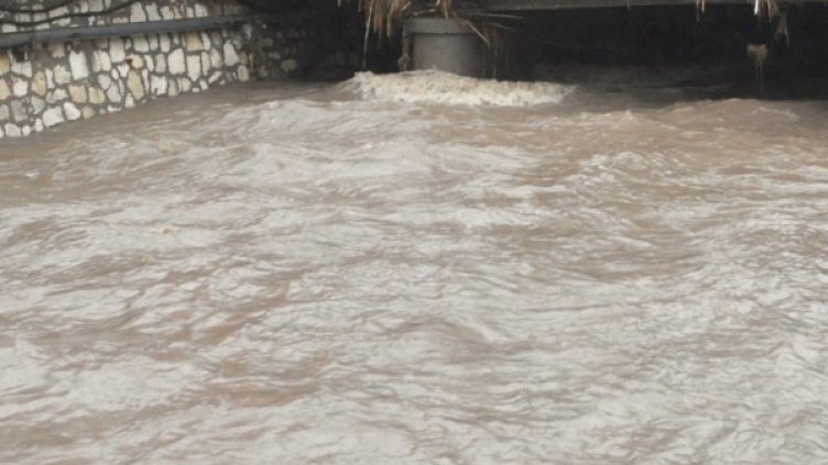 Архив: Булфото