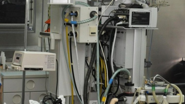 Снимка: архив, БулФото