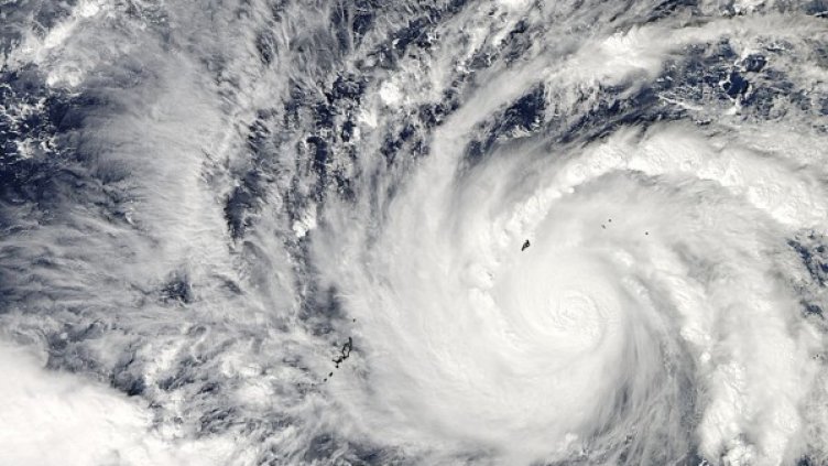 Снимка: Ройтерс