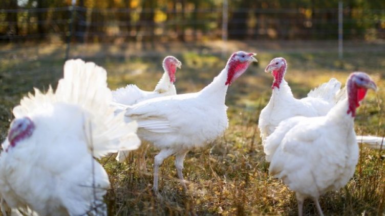 Снимка: Ройтерс, архив