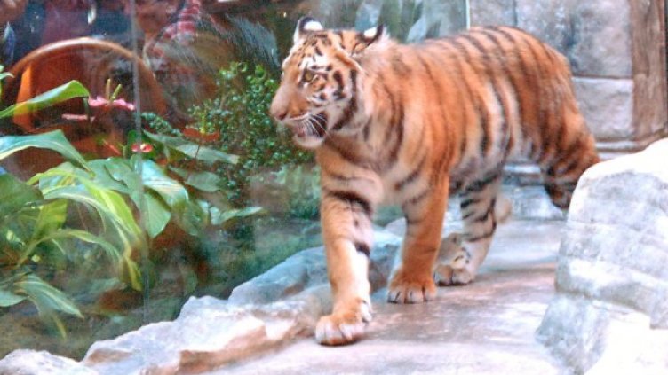 Снимка: Булфото, архив