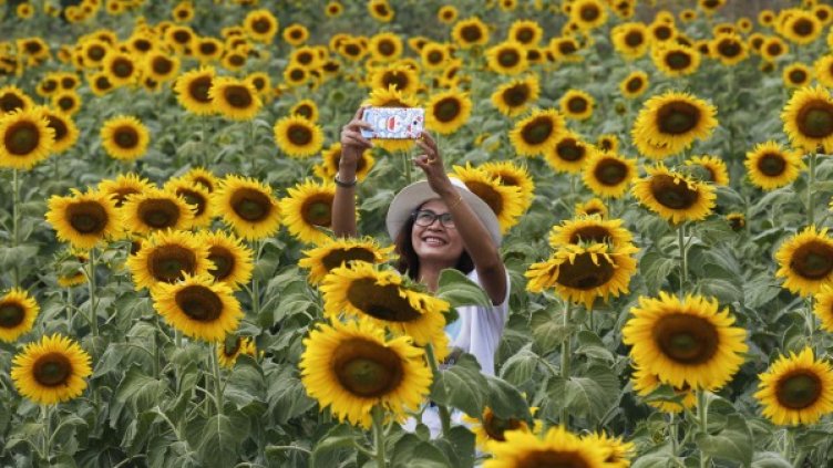 Снимка: Ройтерс, архив