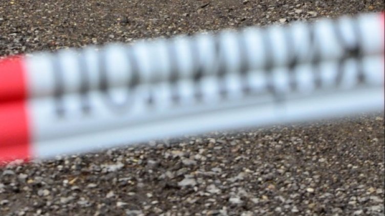 Снимка: архив Булфото