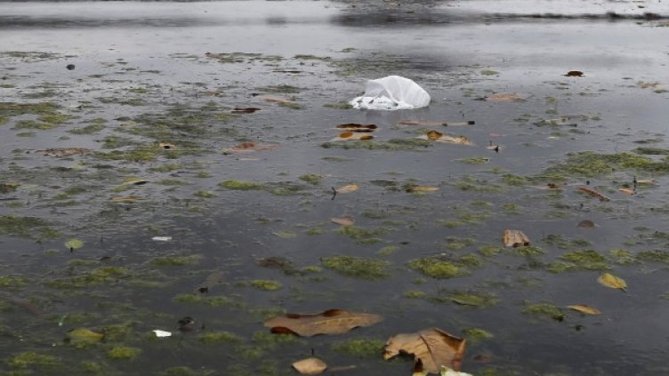 Снимка: архив Reuters