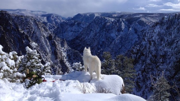 Снимка: Instagram