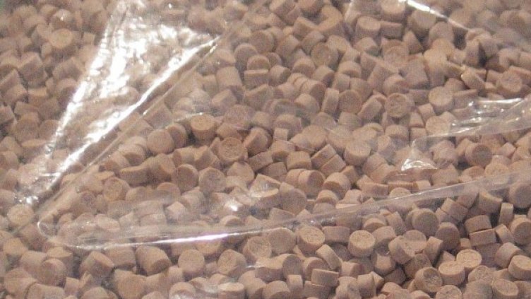 Снимка: архив, Булфото