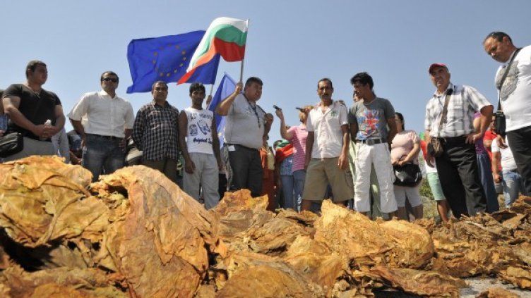 Снимка: архив, Булфото