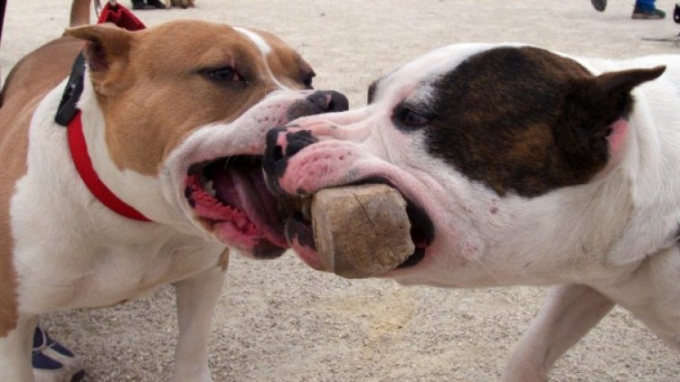 Снимка: архив, Ройтерс