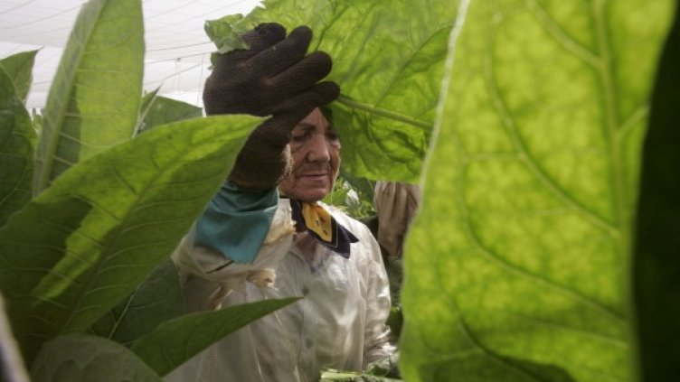 Снимка: архив, Ройтерс