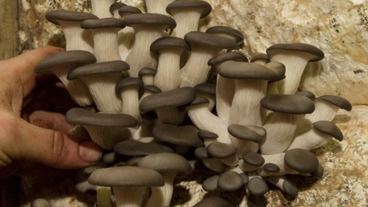 Снимка: Архив Reuters